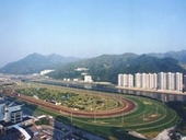 Profile (Sha Tin District)