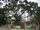 Profile (Tai Po District)