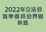 2022立法会选举委员会界别补选