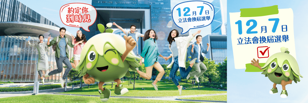 2025 Legislative Council General Election